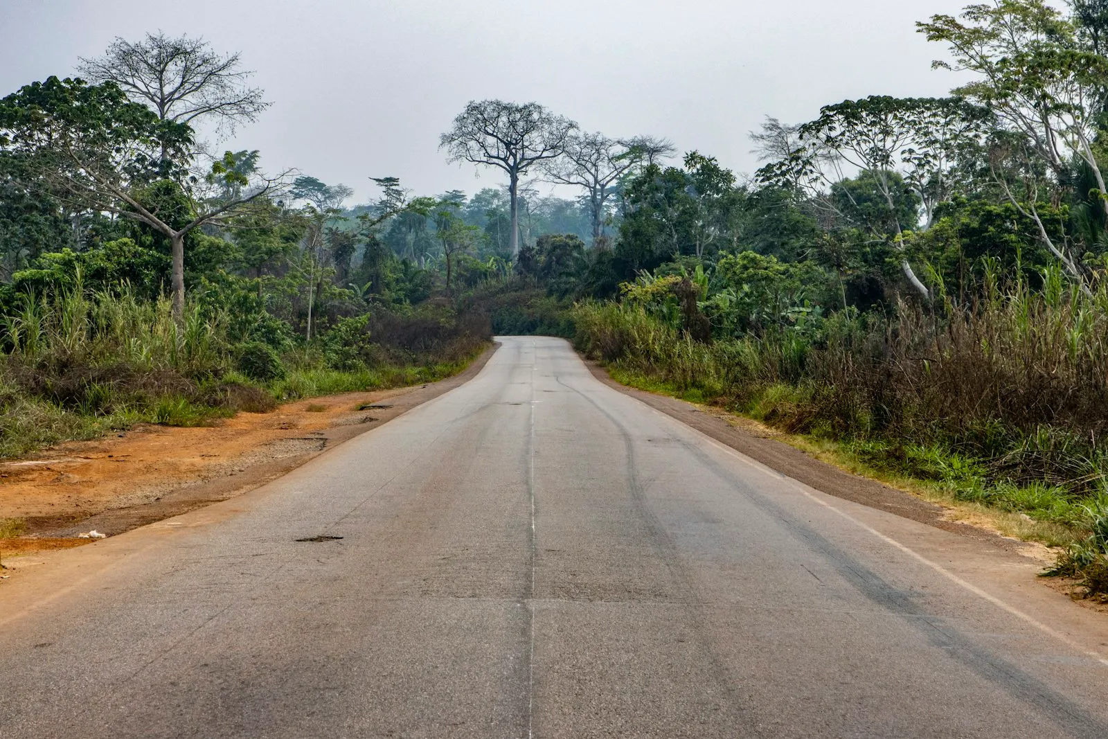 Bafang Cacao — supply-chain platform